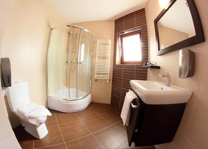 Отель Mieszko 2*